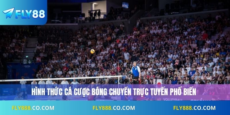 Cá Cược Bóng Chuyền