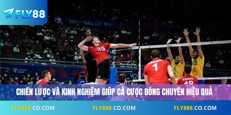 Chiến lược và kinh nghiệm giúp cá cược bóng chuyền hiệu quả