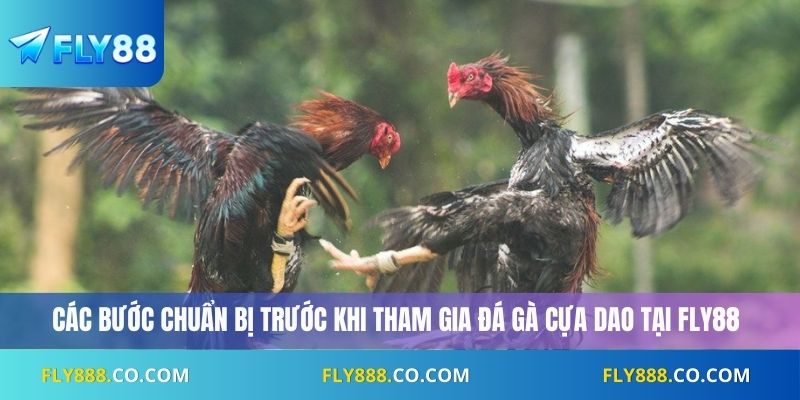 Các bước chuẩn bị trước khi tham gia đá gà cựa dao tại Fly88