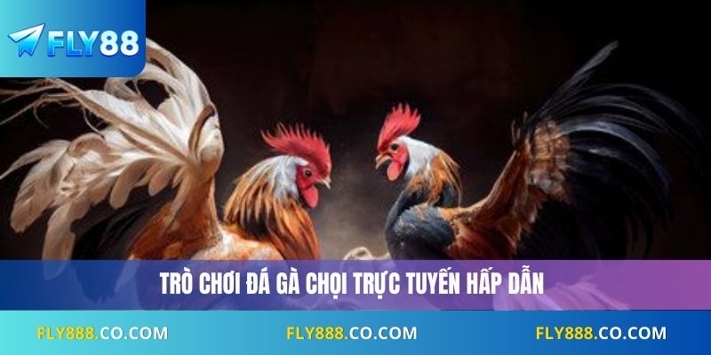 Đá Gà Chọi