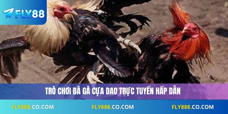 Đá Gà Cựa Dao
