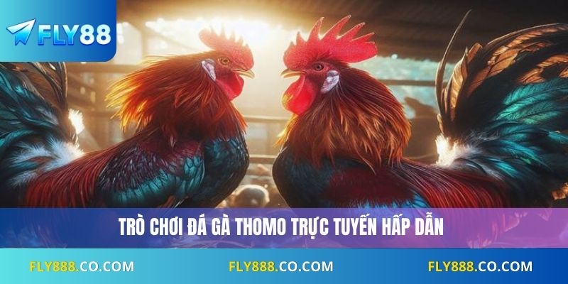 Đá Gà Thomo Fly88