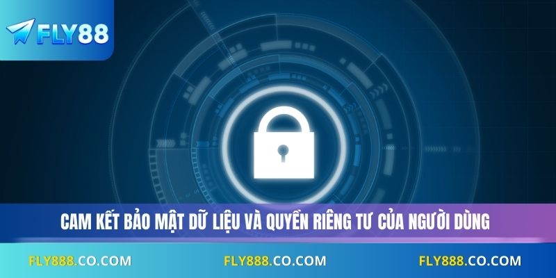 Cam kết bảo mật dữ liệu và quyền riêng tư của người dùng