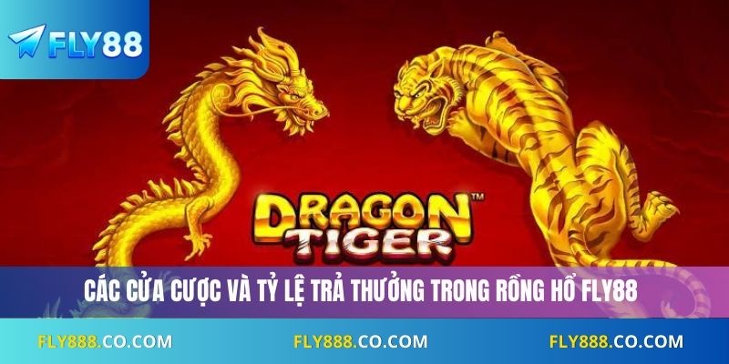 Các cửa cược và tỷ lệ trả thưởng trong rồng hổ Fly88