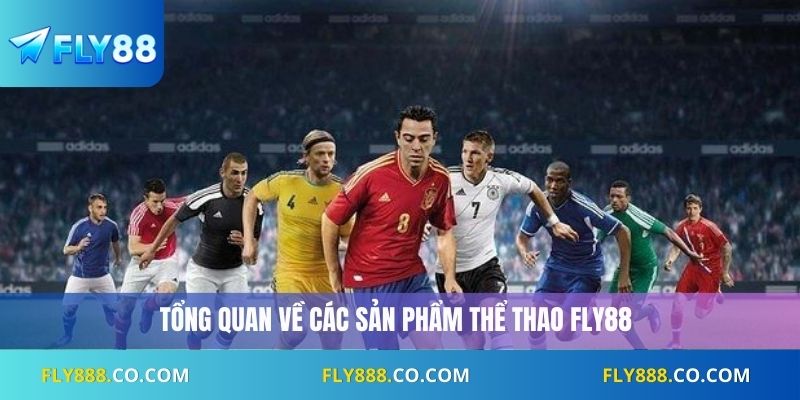 Tổng quan về các sản phẩm thể thao Fly88