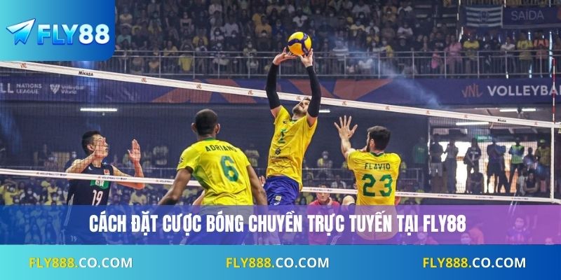 Cách đặt cược bóng chuyền trực tuyến tại Fly88