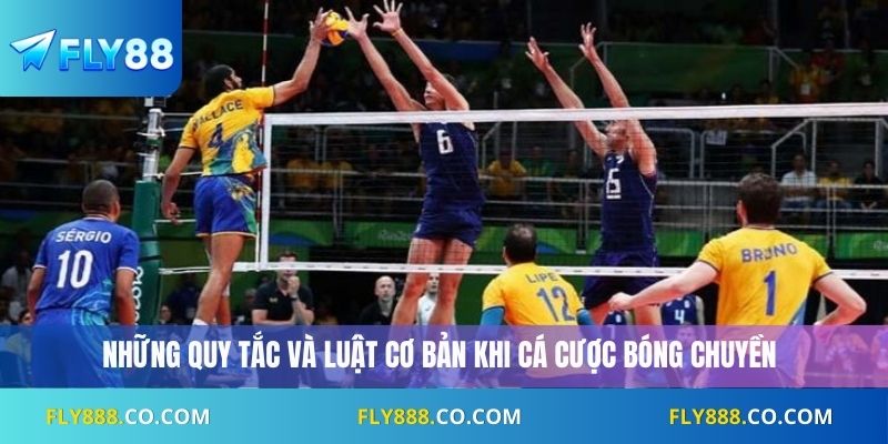 Những quy tắc và luật cơ bản khi cá cược bóng chuyền