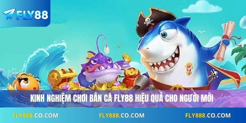 Kinh nghiệm chơi bắn cá Fly88 hiệu quả cho người mới