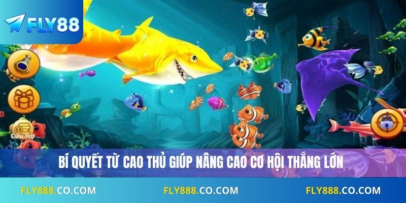 Bí quyết từ cao thủ giúp nâng cao cơ hội thắng lớn