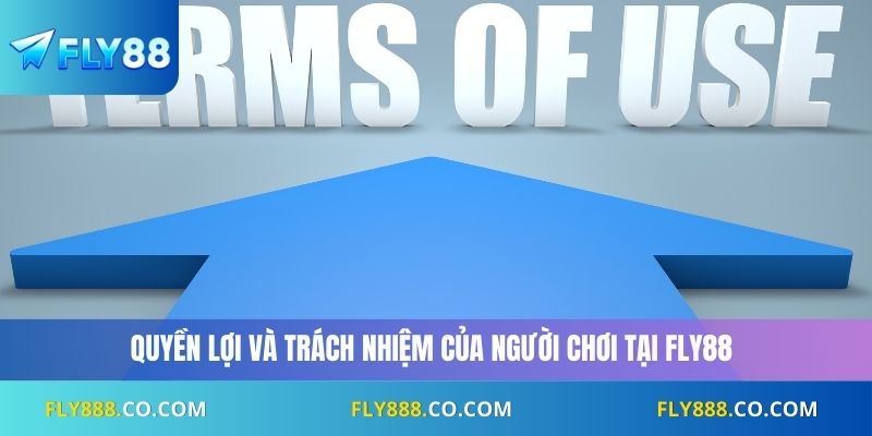 Quyền lợi và trách nhiệm của người chơi tại Fly88