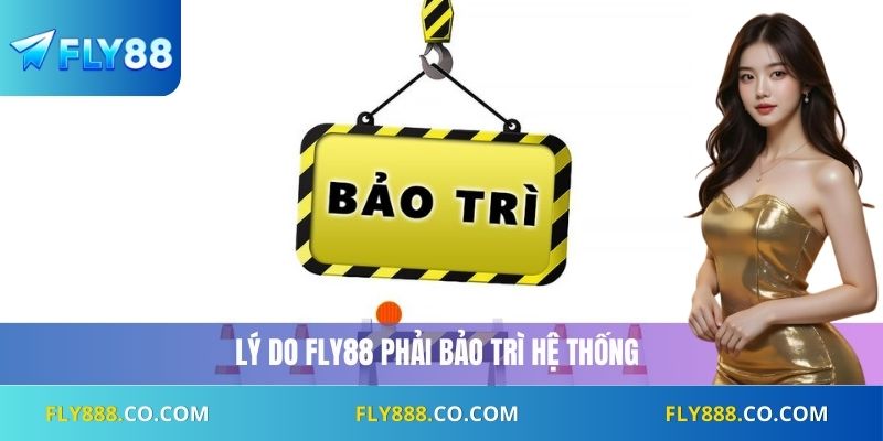 Lý do Fly88 phải bảo trì hệ thống
